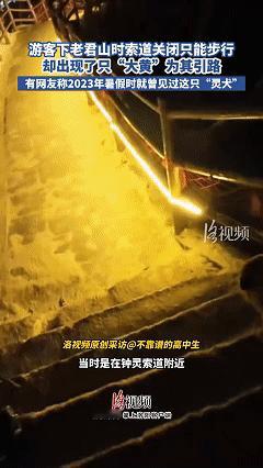 万物皆有灵！河南，一男子在景区爬山，因中途耽误时间太久导致下山时缆车已经关闭，只