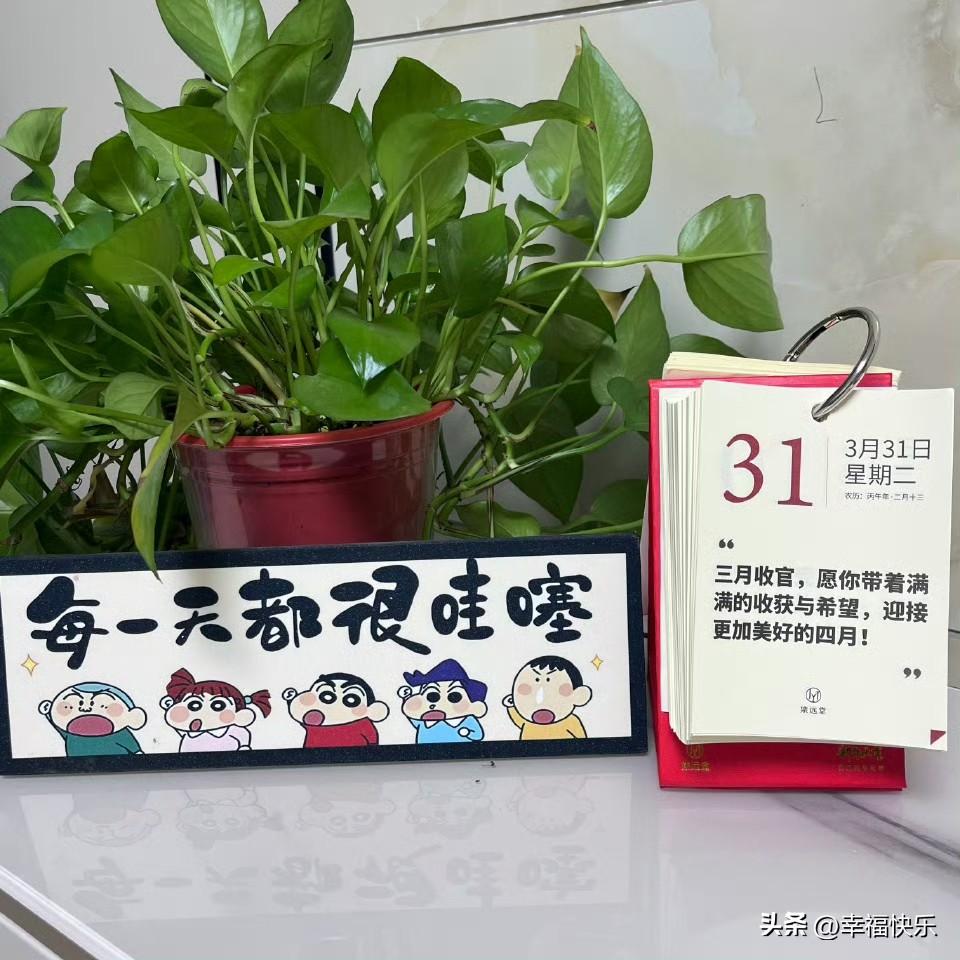 2026.03.31
周二，快乐