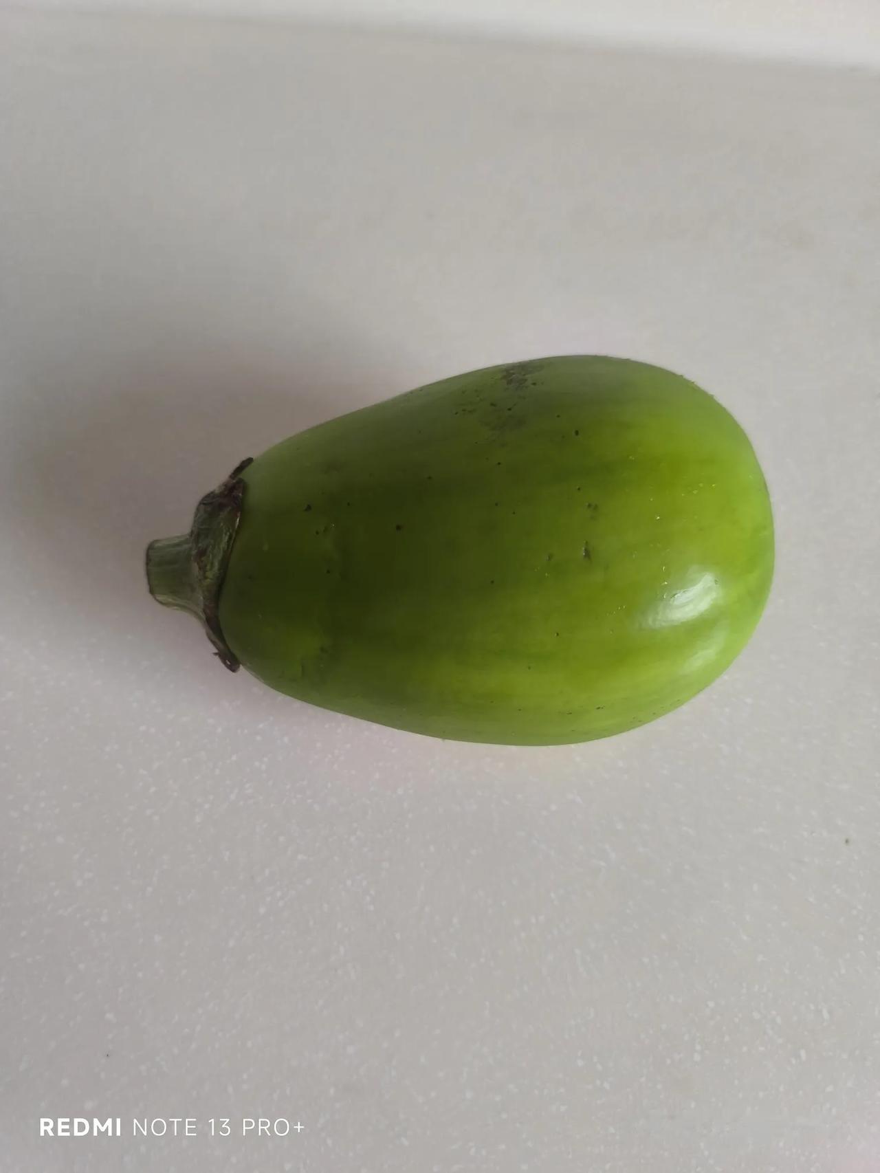 两个茄子，8块钱了！
沈阳的这个夏天，不只炎热。
前一周下了几场暴雨，蔬菜价格上
