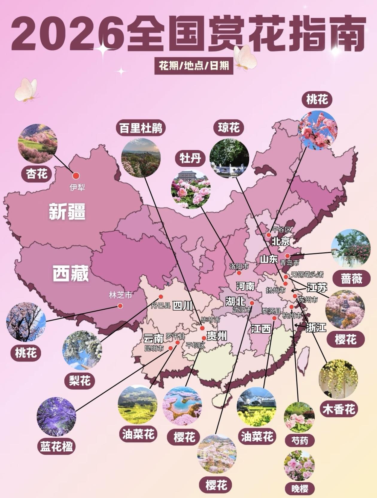 2026全国赏花指南！🌸🌸🌸