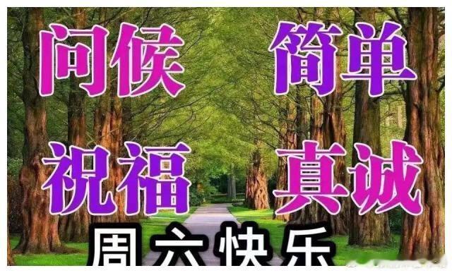 早上好，美丽的早晨，美好的一天。祝您周末愉快，加油！！[鲜花][鲜花][鲜花][