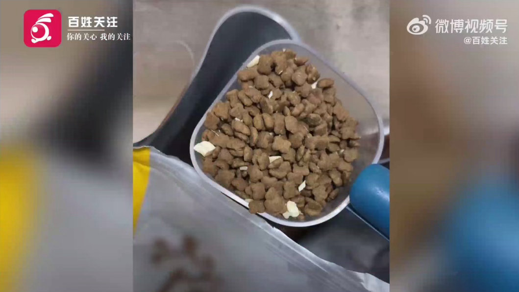 宠物口粮也藏乱象，多款猫粮猫条有问题。咱们铲屎官多做功课，避开风险款，守护好毛孩