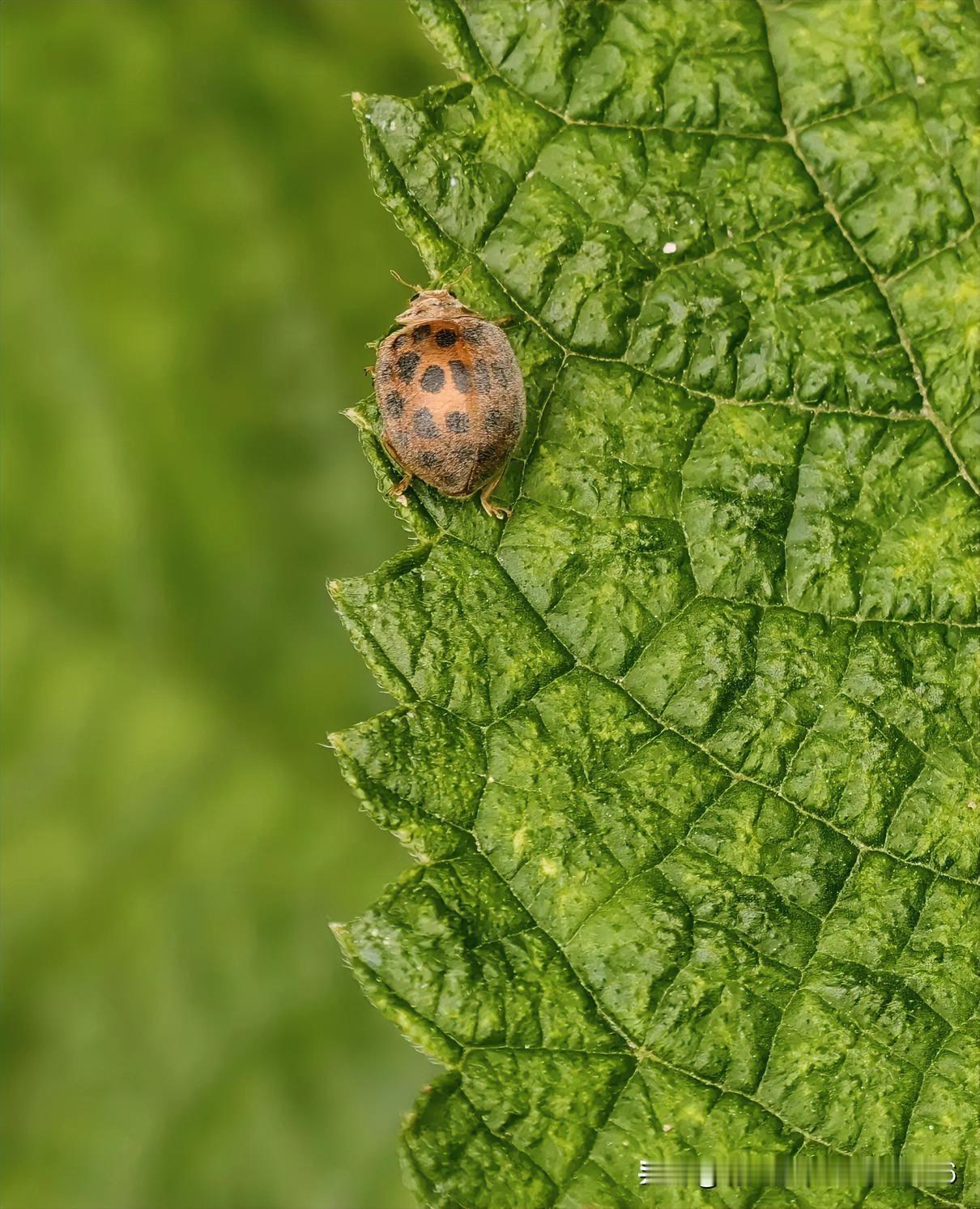 分享一下你随手拍下的照片