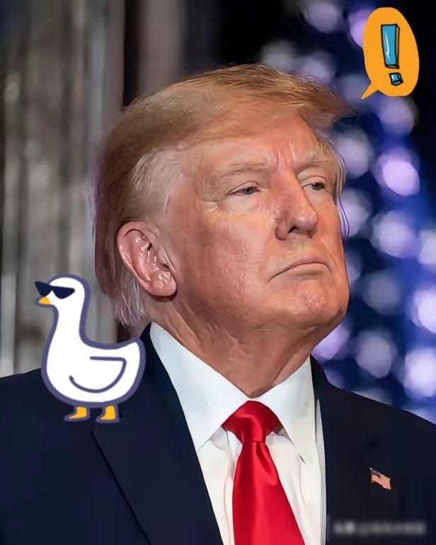 外交亮剑，中方把话挑明，美国这次是真疼了。

自十月起，中国开始执行新的稀土出口