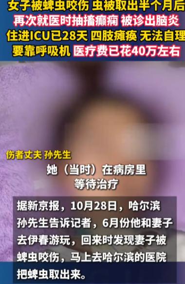 “最担心的事情还是发生了！”哈尔滨，29岁女子和丈夫带狗去伊春游玩，返程发现腹部
