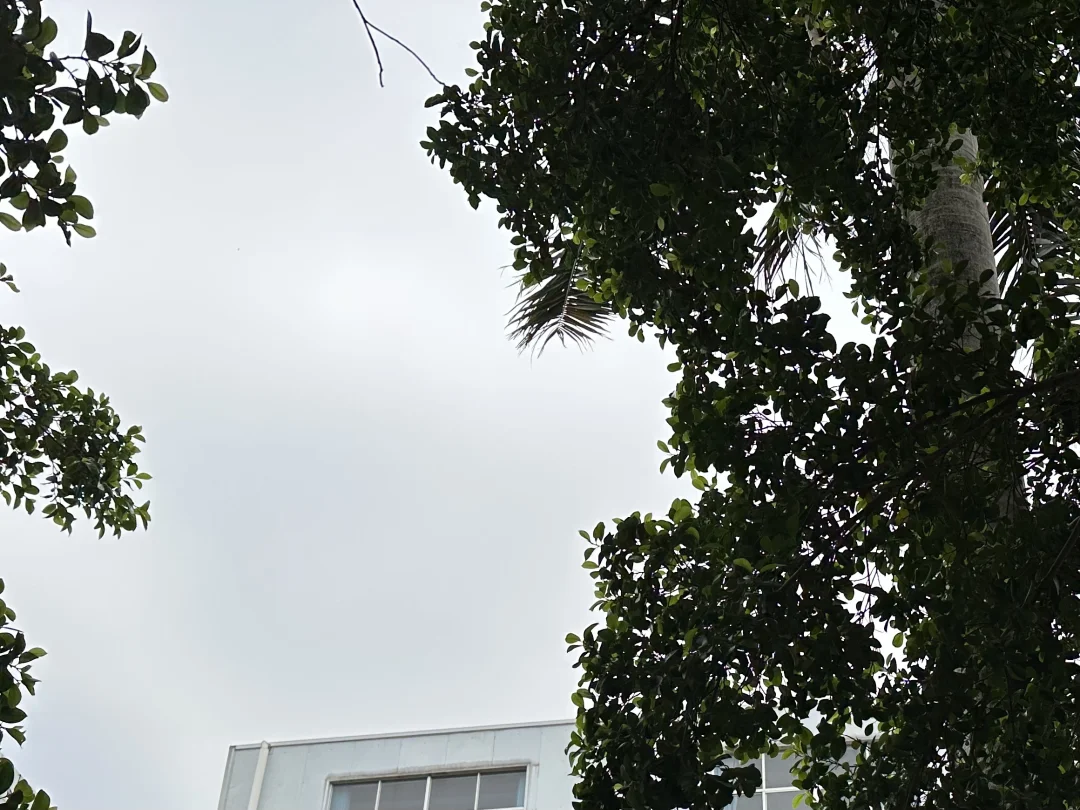 当你接触的人越多，你会发现，比你层次高的人鼓励你，同一层次的人欣赏你...