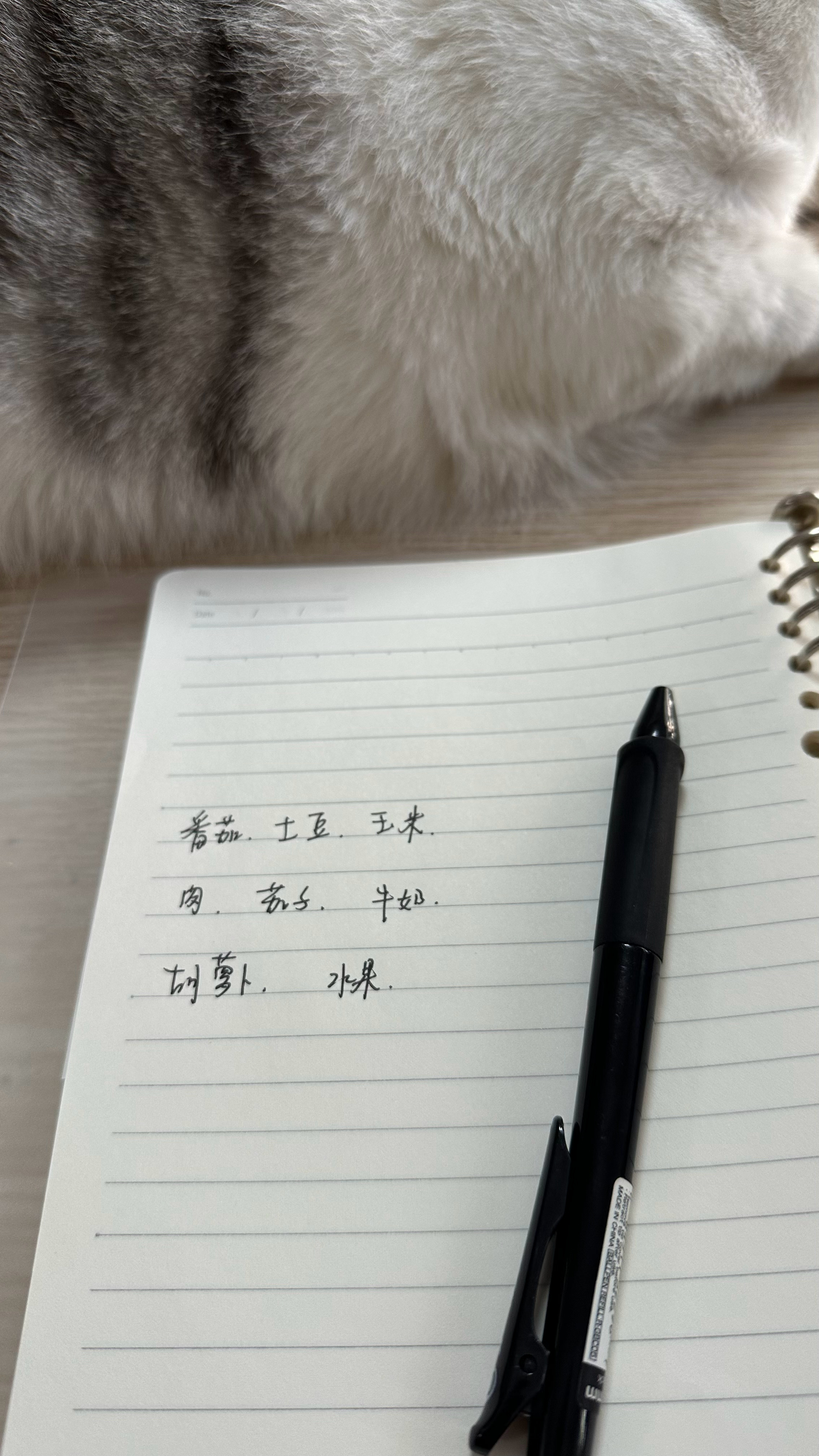 啥意思臭猪 ​​​