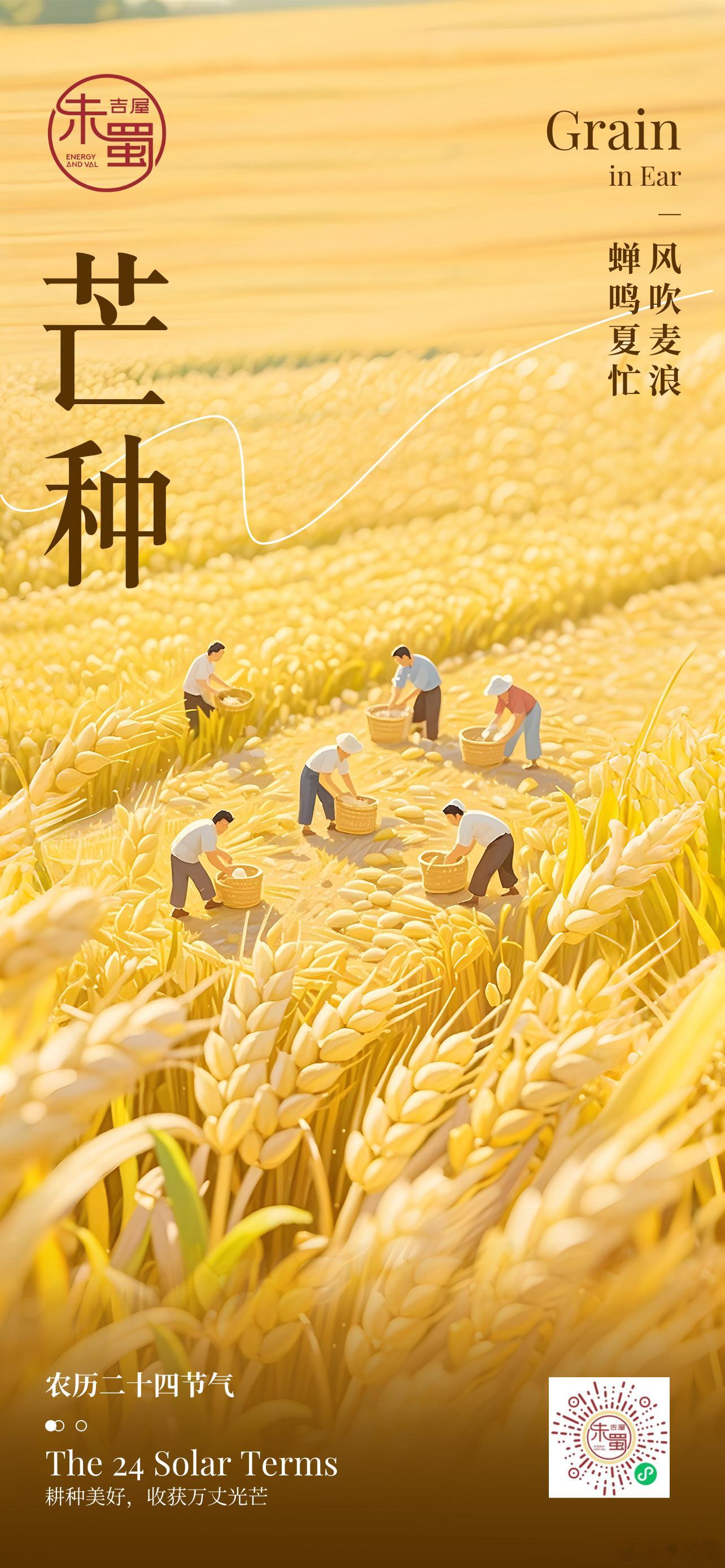 勤勉耕耘播种、夏熟收粮今日芒种，愿你光芒万丈