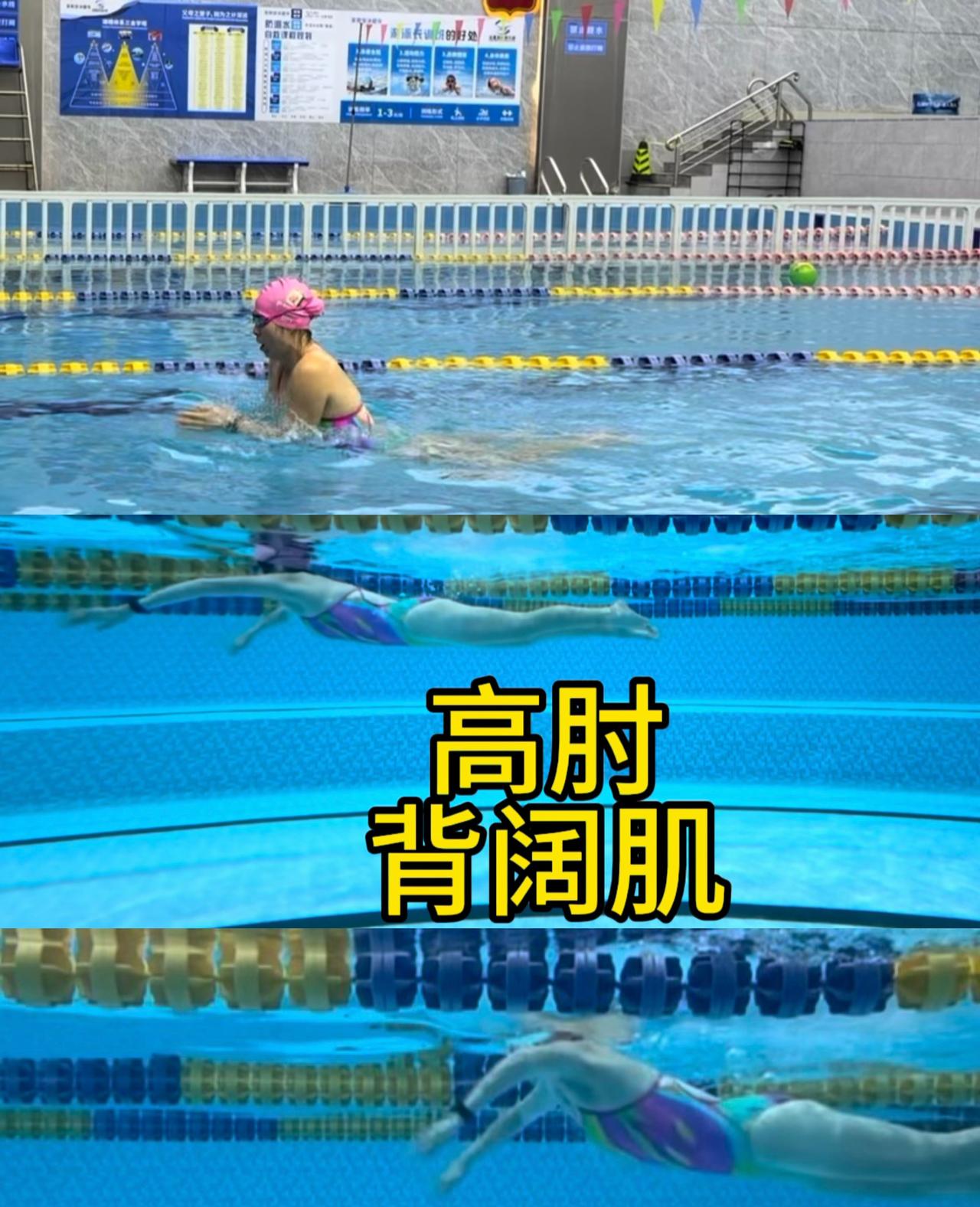 蛙泳拉高靠压胸展肩起波浪的势能（类似蝶泳的第一个同时）转化动能以及背阔肌。