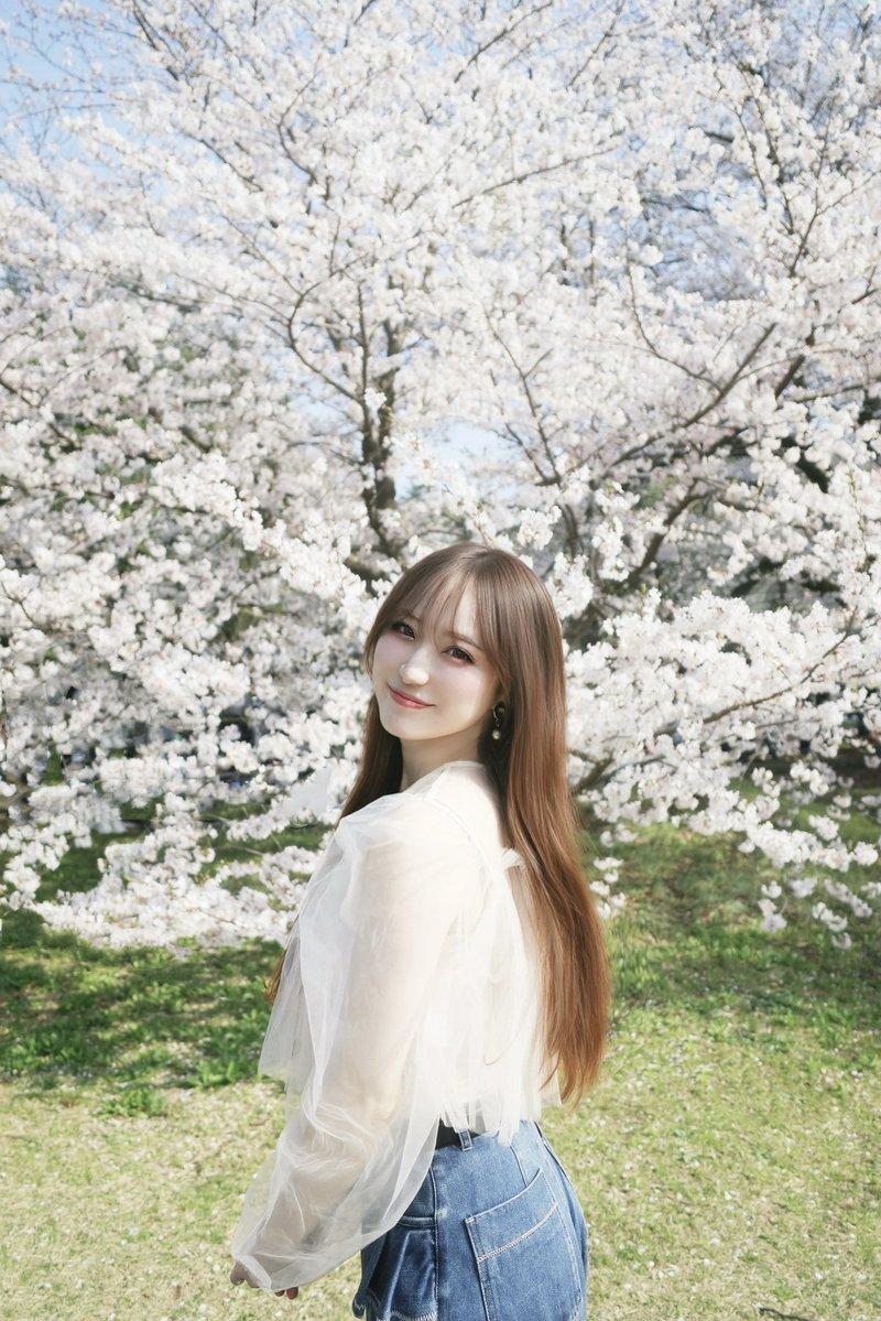 清新脱俗的白色海棠花你喜欢吗?