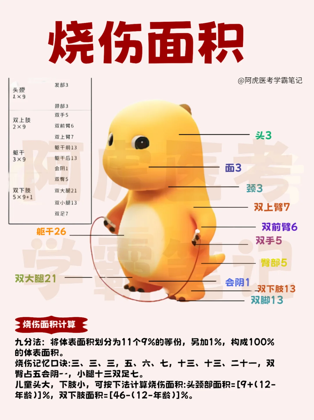 医学生笔记📒：烧伤面积计算👆