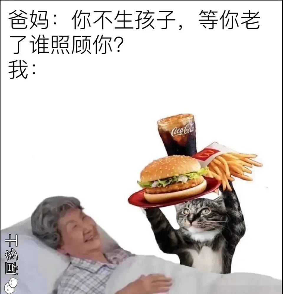 我老了就这样：
梗图  此图有梗  精神状态领先一百年  本人最近的精神状态  