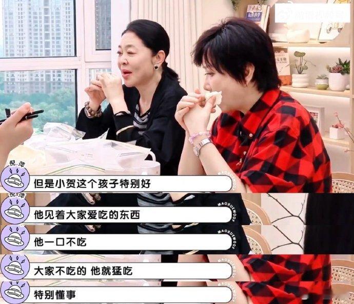 倪萍蔡明夸赞贺峻霖倪萍蔡明说贺峻霖特别好 大赞，姐姐们夸奖小贺家教特别好，特别懂