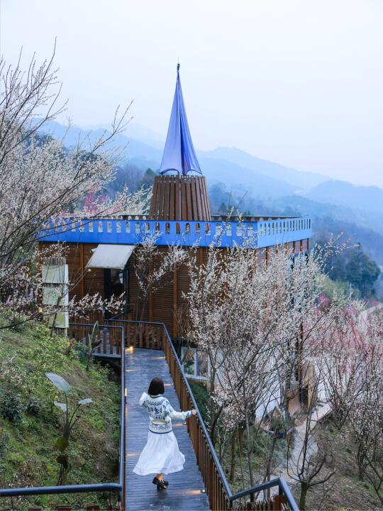 青城山顶私藏仙境｜别错过的小众赏花地