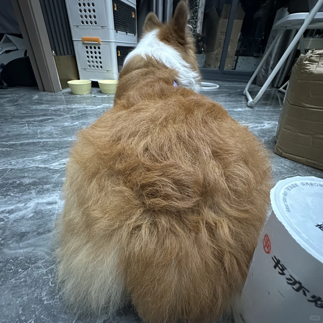 基腚山