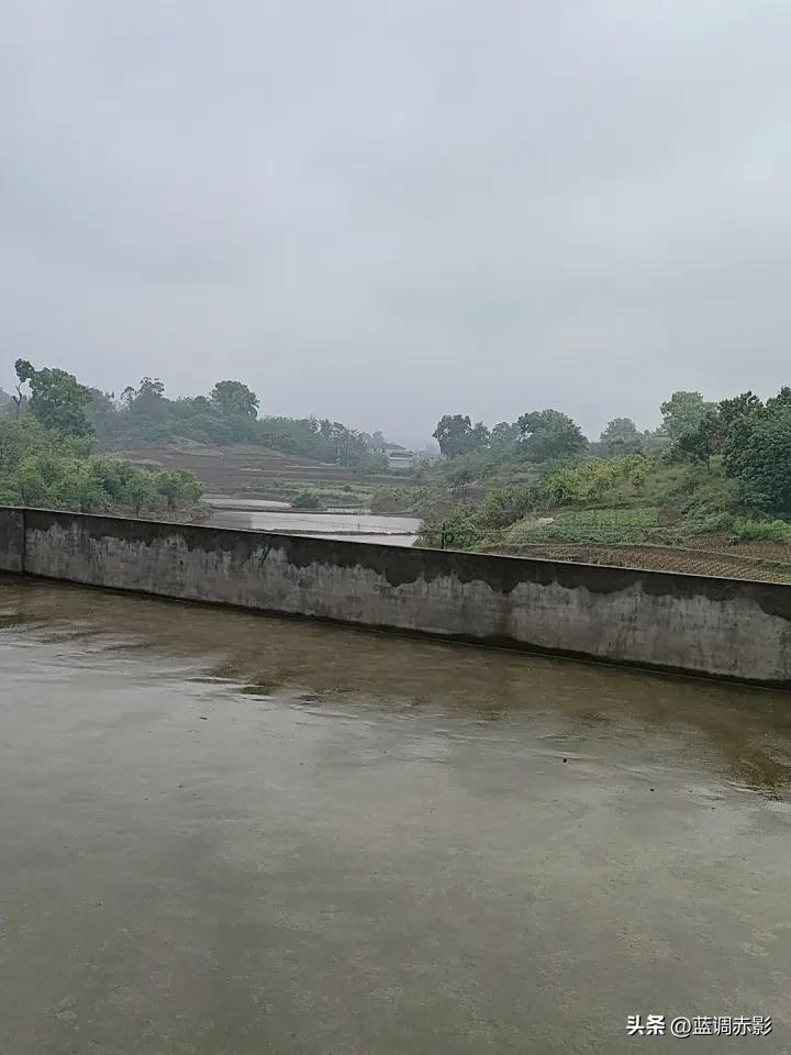 春日生活打卡季