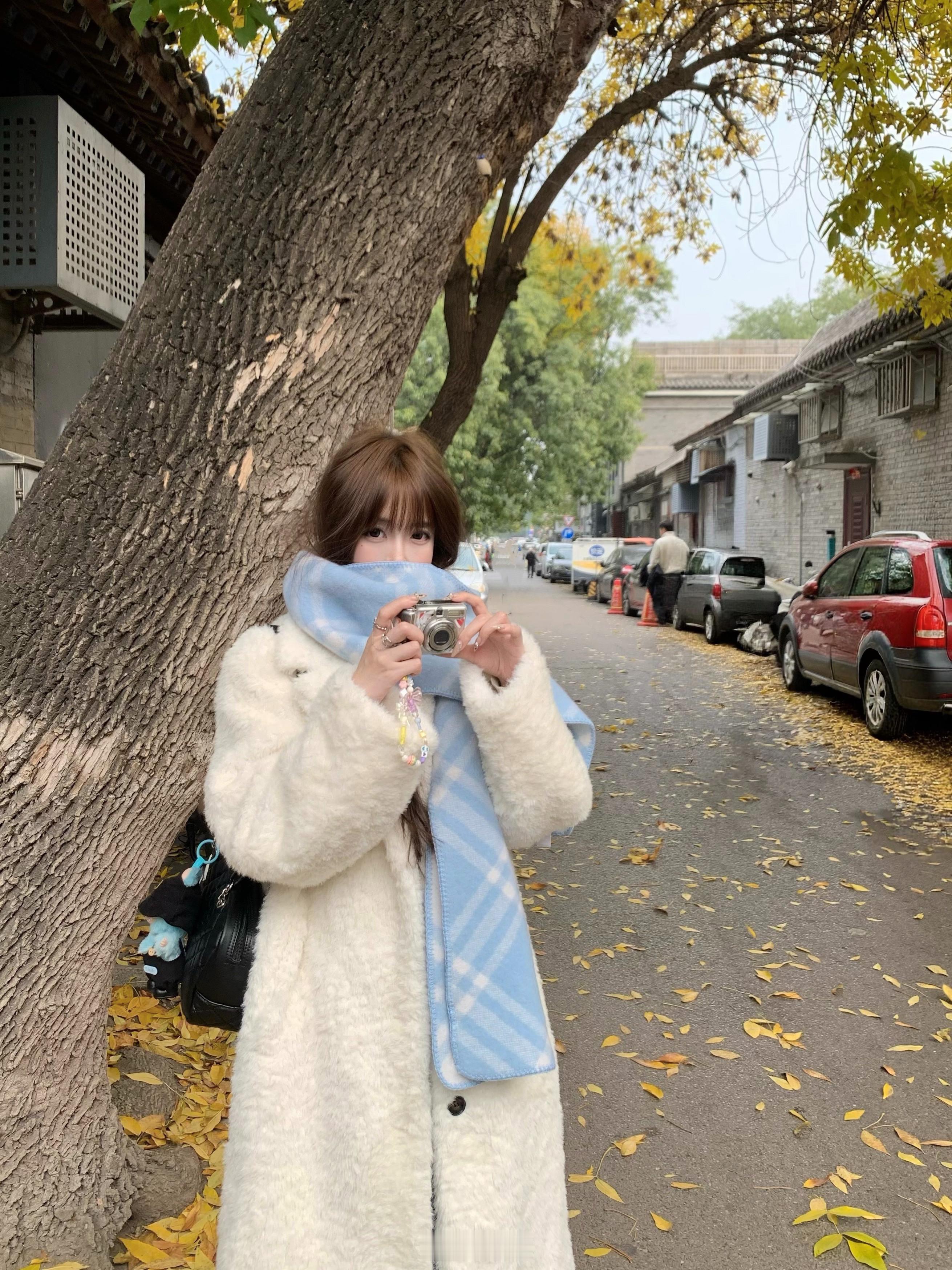 京城小记📝⛩️🍁🍲 