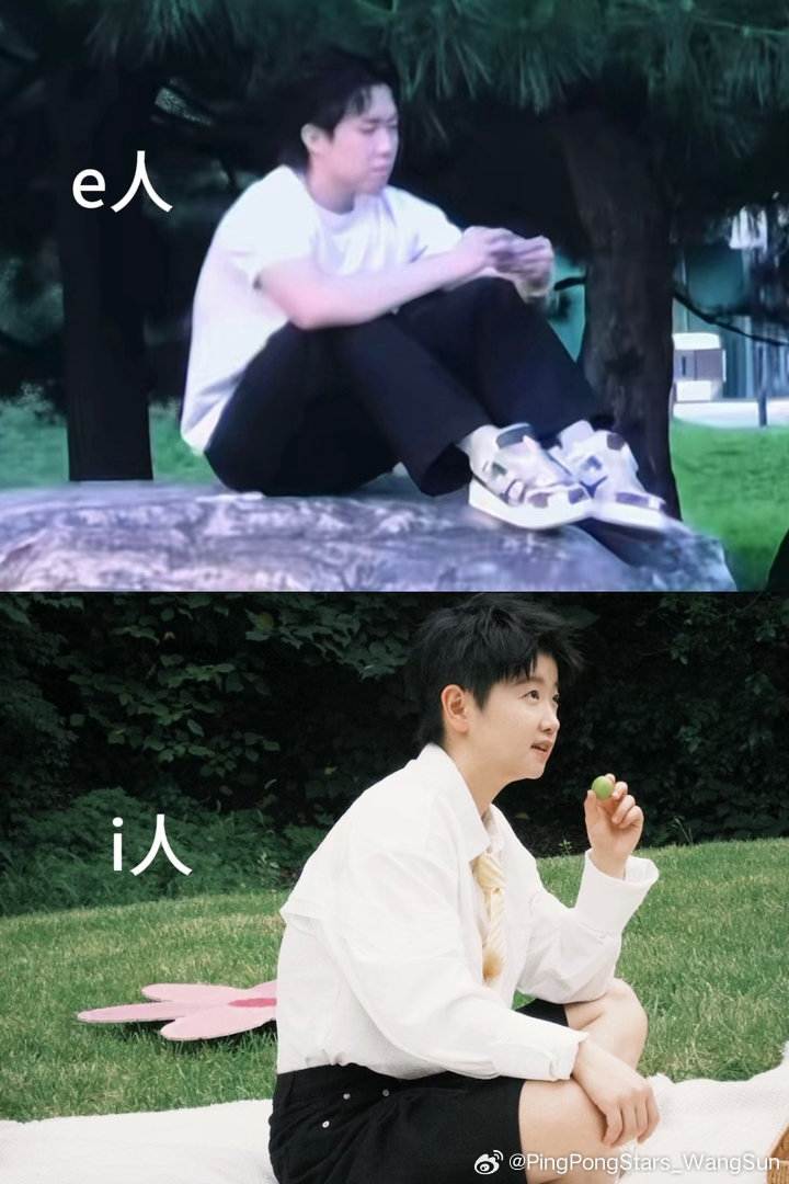 原来这就是e人与i人坐姿的区别啊，🐱:嘻嘻vs🦁:不嘻嘻[哈哈]王楚钦孙颖莎