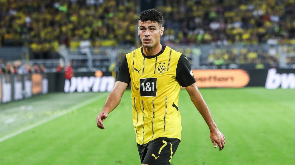 多特蒙德[超话]黄黑普鲁士 MLS transfer:雷纳希望在海外继续自己的职