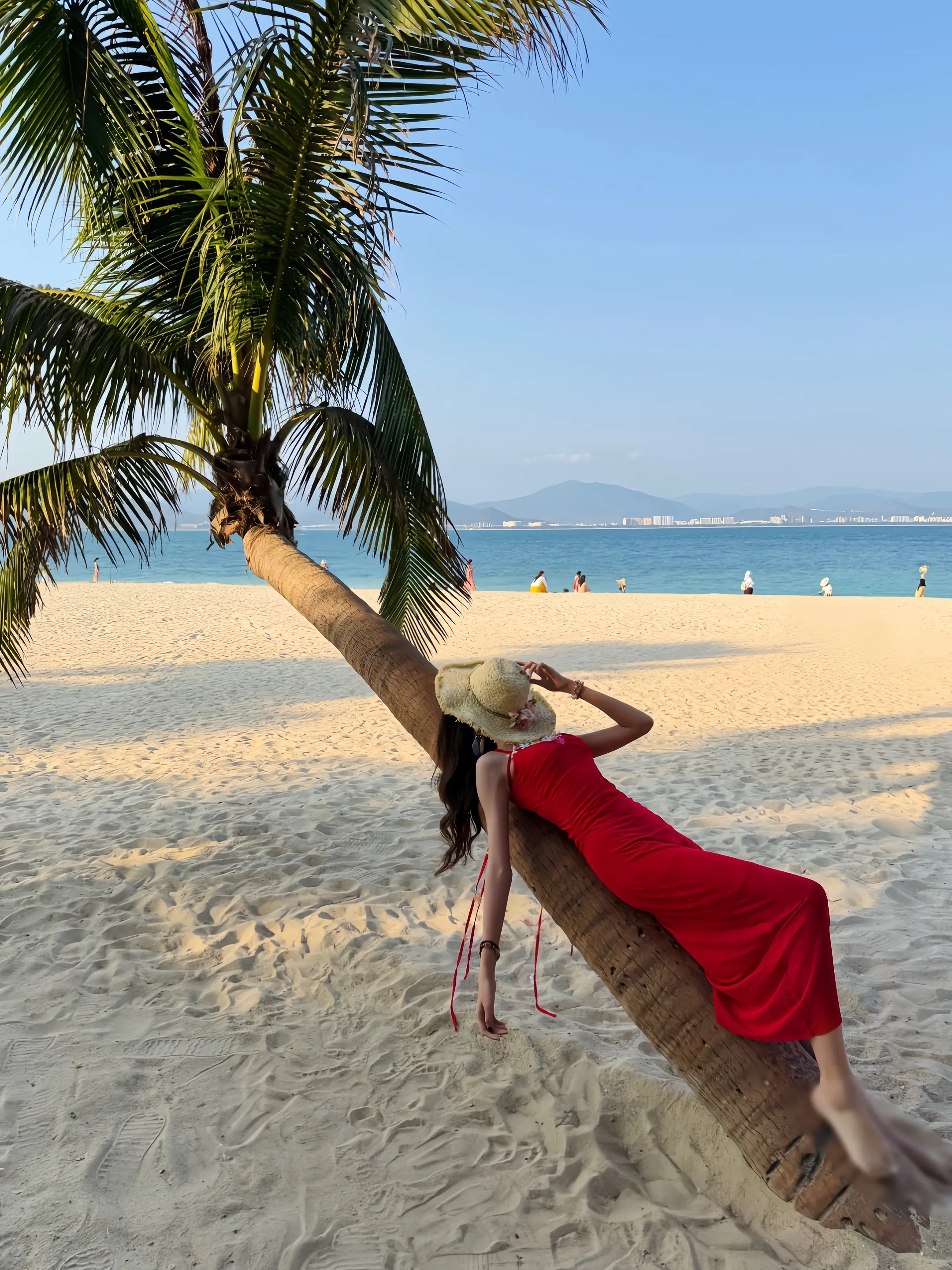 🐚𓂂𓈒🏝️西岛·Sea Moment🐋𓂂𓈒𓏸𓇼