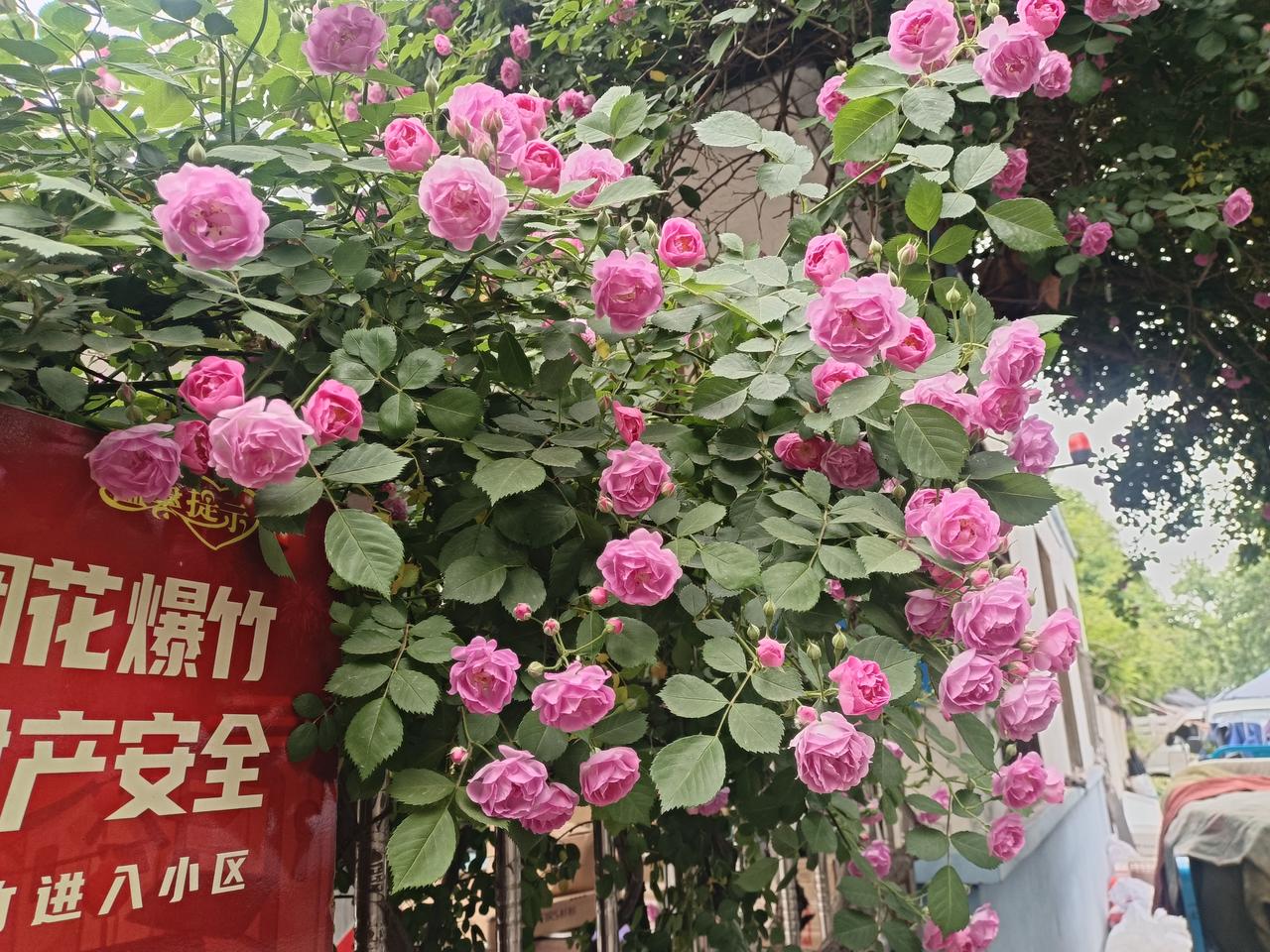 形意拳的步伐，
一接手，整个身子就会涌进去，
如大浪拍岸，
很多人只关注手了，