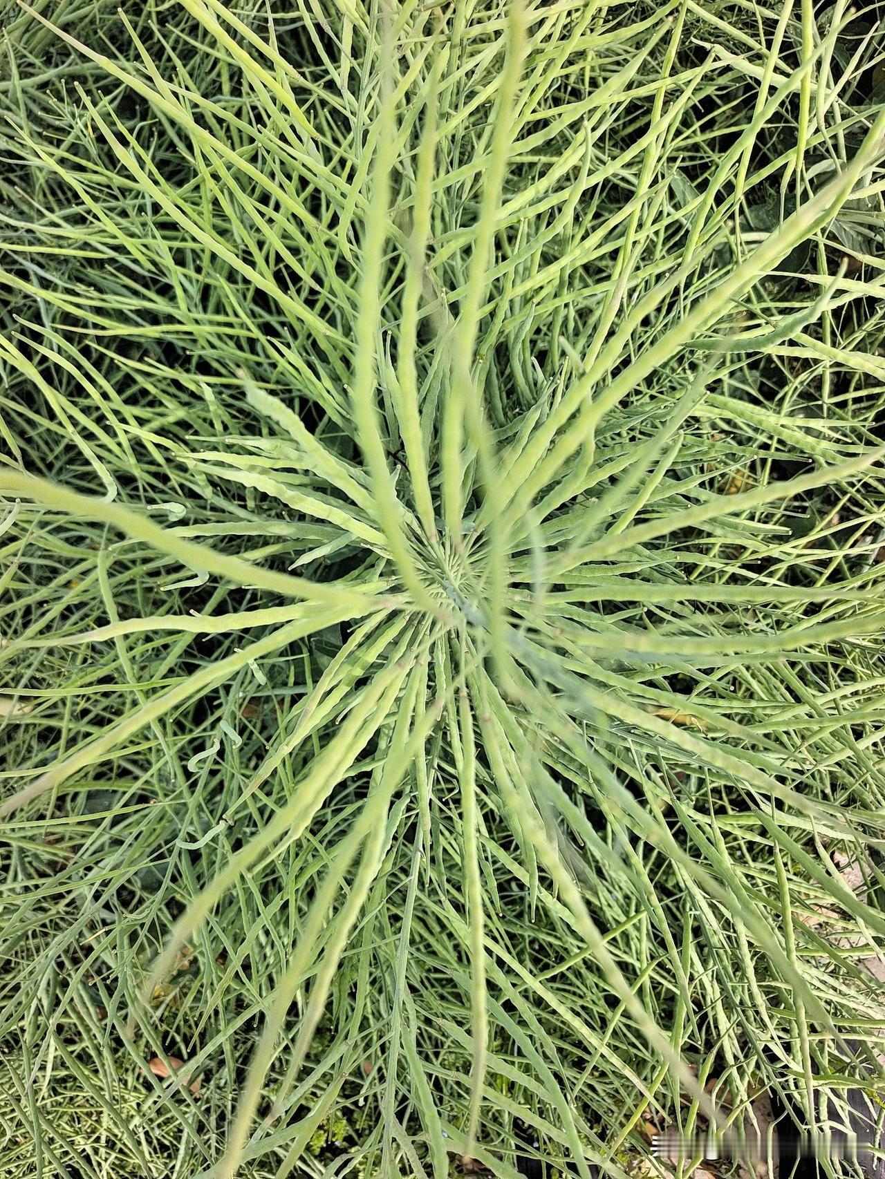 开灯睡觉不习惯
影响睡眠有光线
开灯睡觉坏习惯
亮着灯来还费电
刷着抖音就打鼾