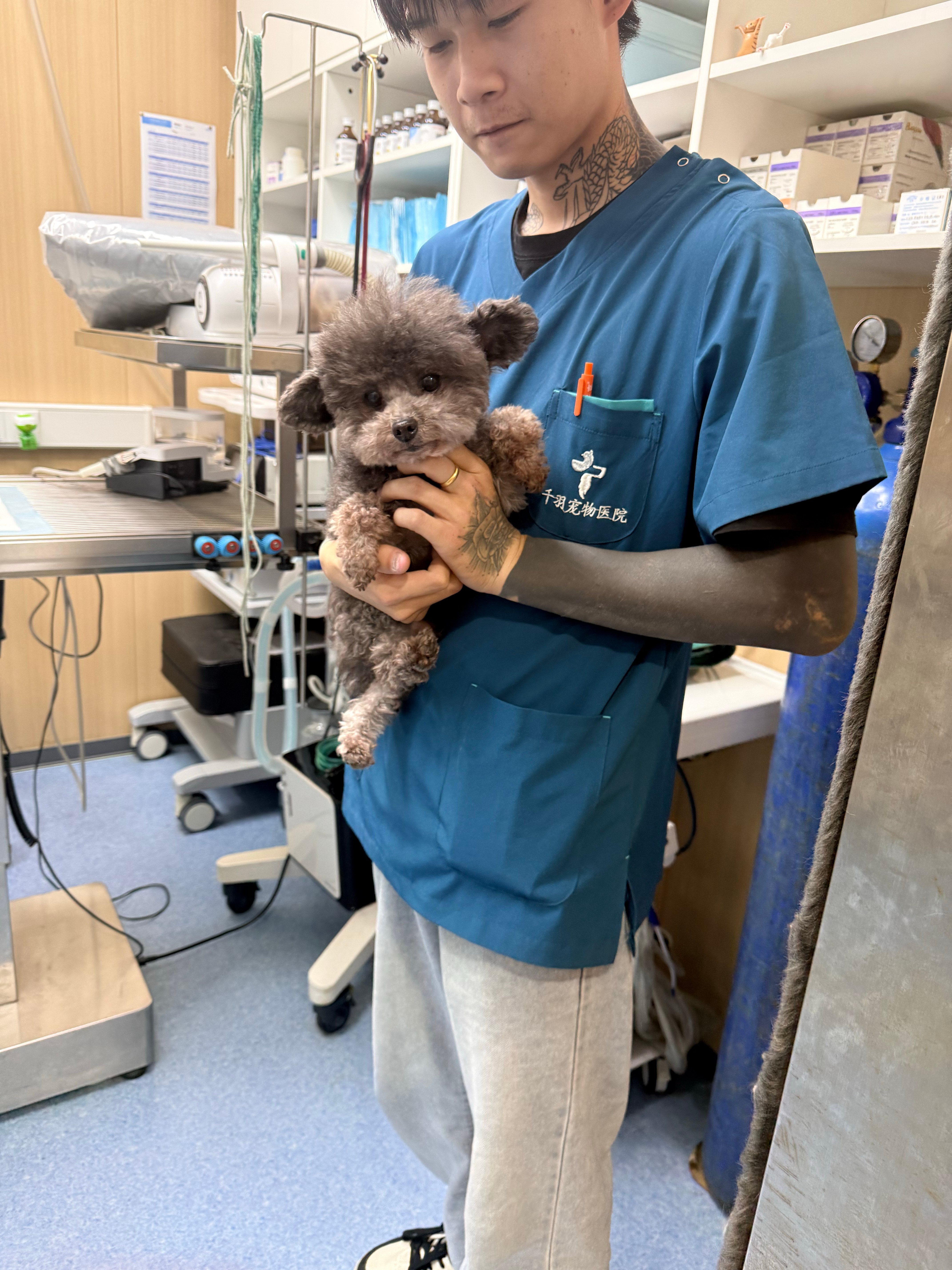 老母亲心都碎了 