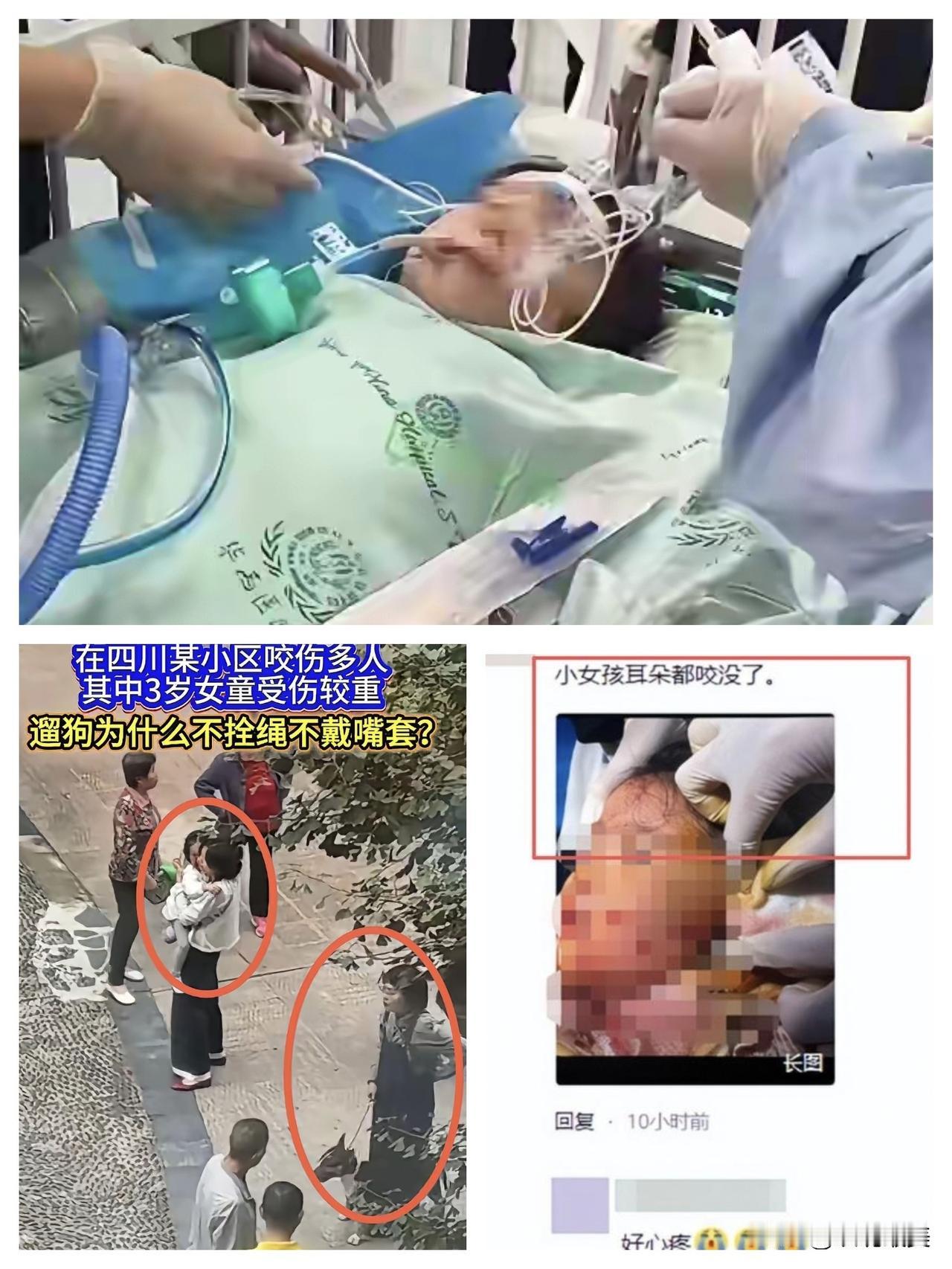 求“谅解书”？
做梦呢吧！有人说牛头梗女狗主人事发后，现在很后悔，想求一份“谅解