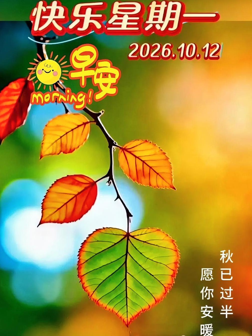 十月第十二天，
秋已过半，
愿你安暖瑟瑟秋风过，
萧萧梧桐落，
于时光深处，
温