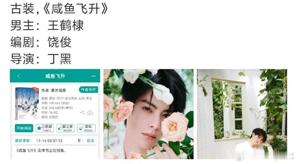《咸鱼飞升》由王鹤棣主演，饶俊编剧，丁黑导演，是一部古装仙侠剧。 