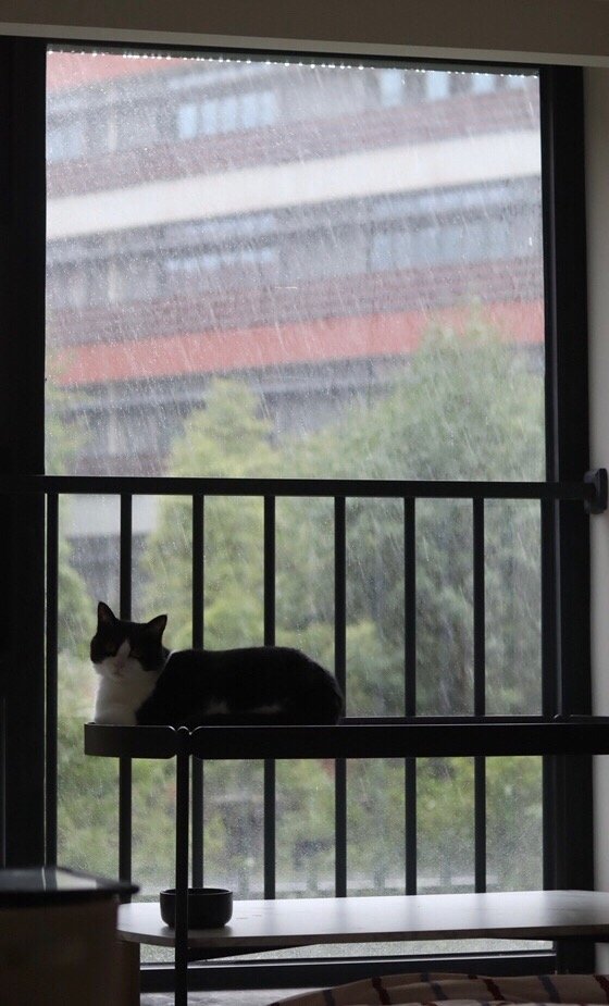 小奶面包房全天气营业🌧小奶面包房（投稿：） 
