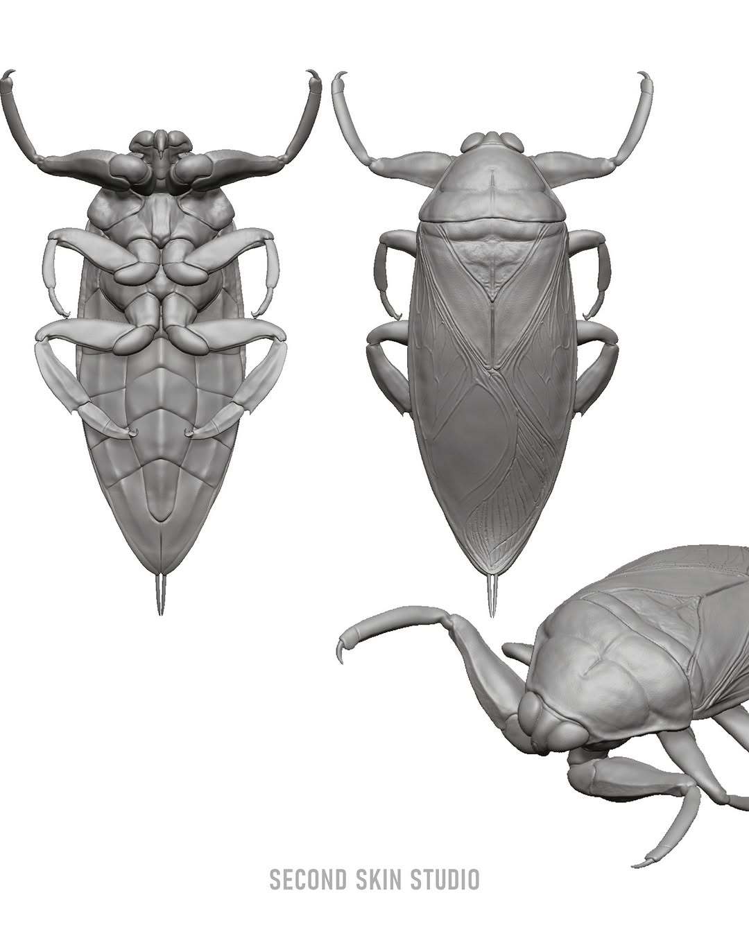 啊～也太逼真了吧！迪伦·奥布莱恩在电影《请求救援》中吃的那只水虫，是道具组用巧克