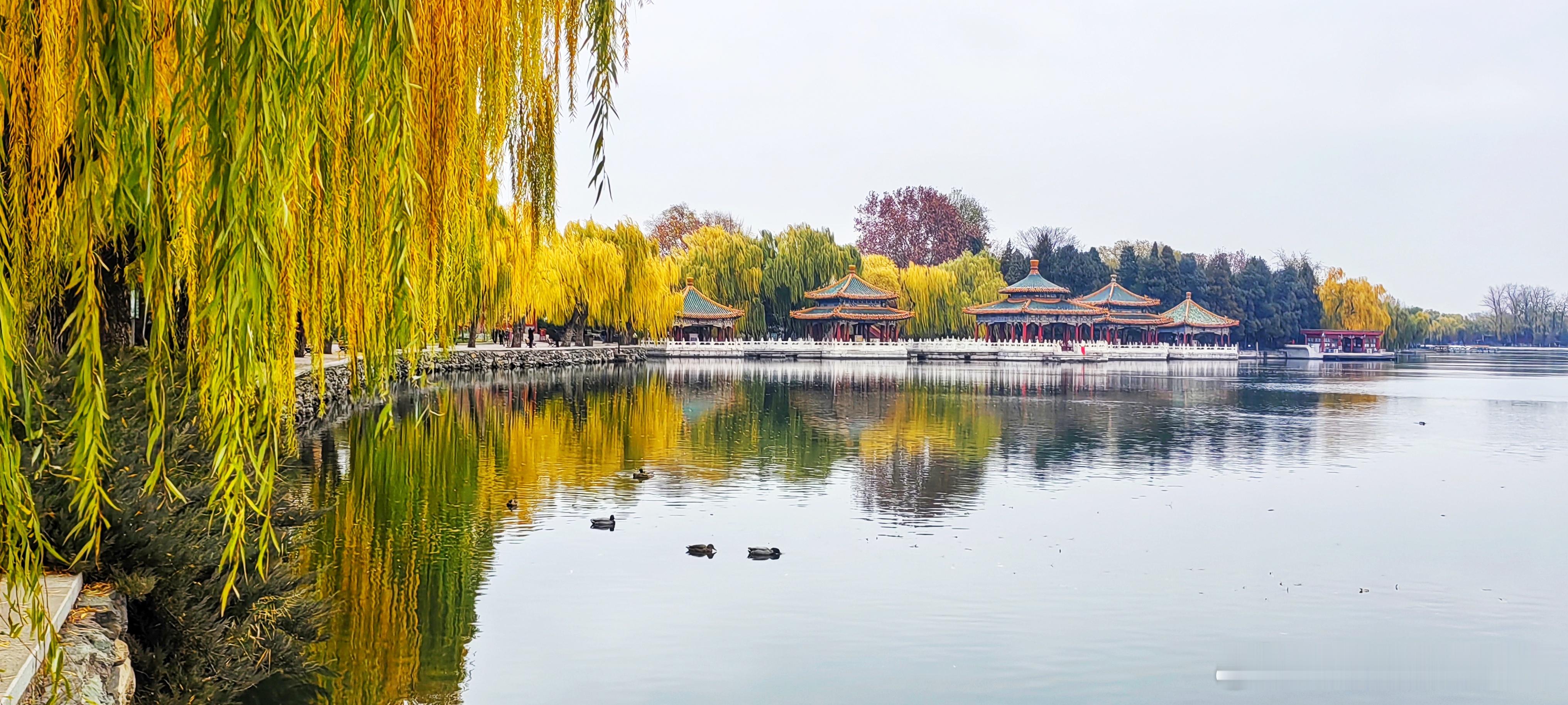 初冬北海五龙亭2025.11.24北京你好 摄影