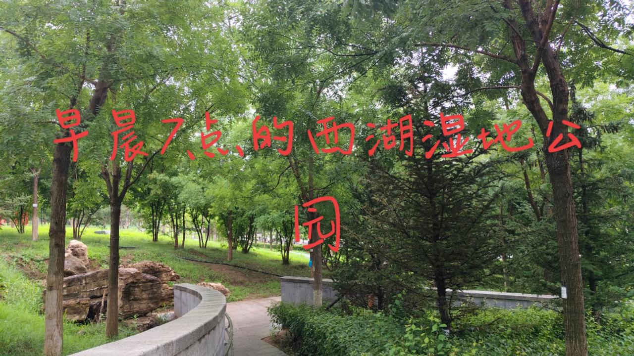 早晨西湖湿地公园