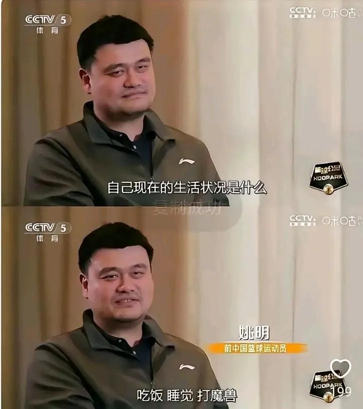 刘翔退役后天天打游戏，姚明退役后天天打游戏，邹市明本来也天天打游戏，哥仨本来都过