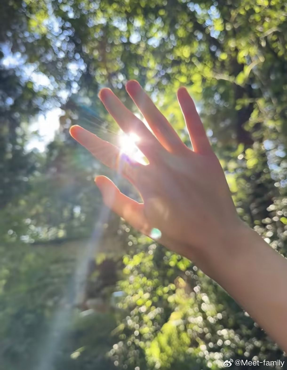 阳光真的是一个很好的滤镜🍂 