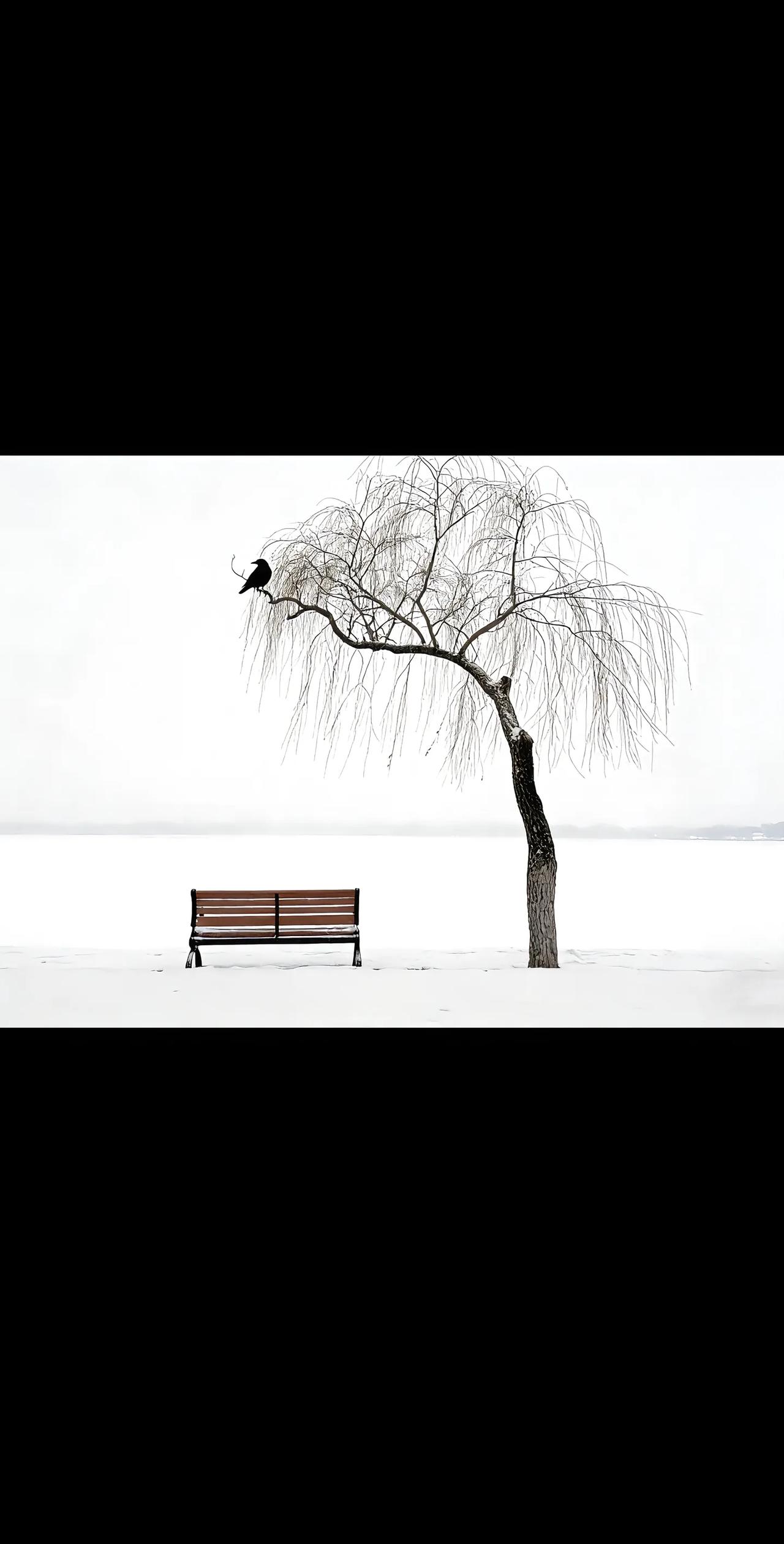 今天跟我师姐聊天，我师姐是南京的一所 211 大学的教授。她家的孩子其实成绩蛮好