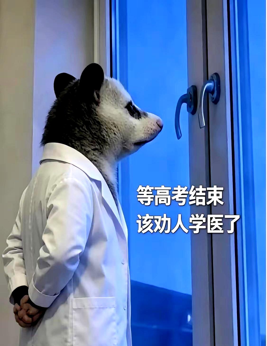 刚进入六月，天热得像个大蒸笼，可网上的热搜比气温还要烫手，你敢信这几天接连爆了四