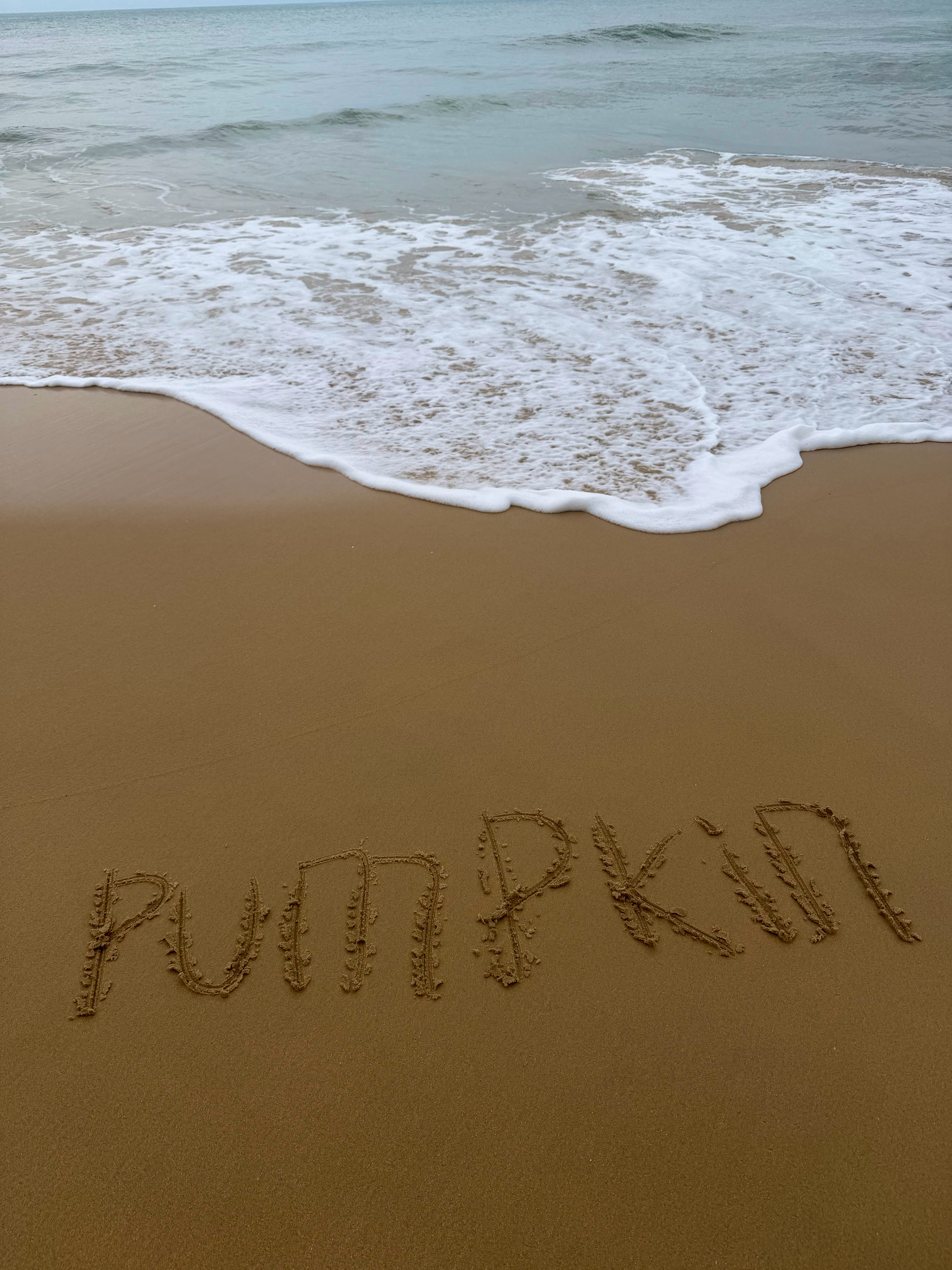 我复活了？？？