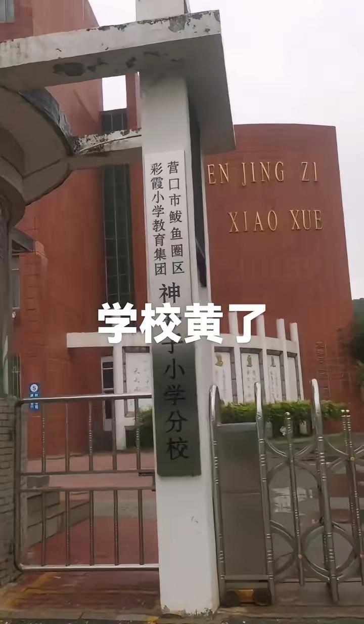 我有种预感，

这样的学校合并会越来越多。

不是因为教育质量，也不是因为师资不