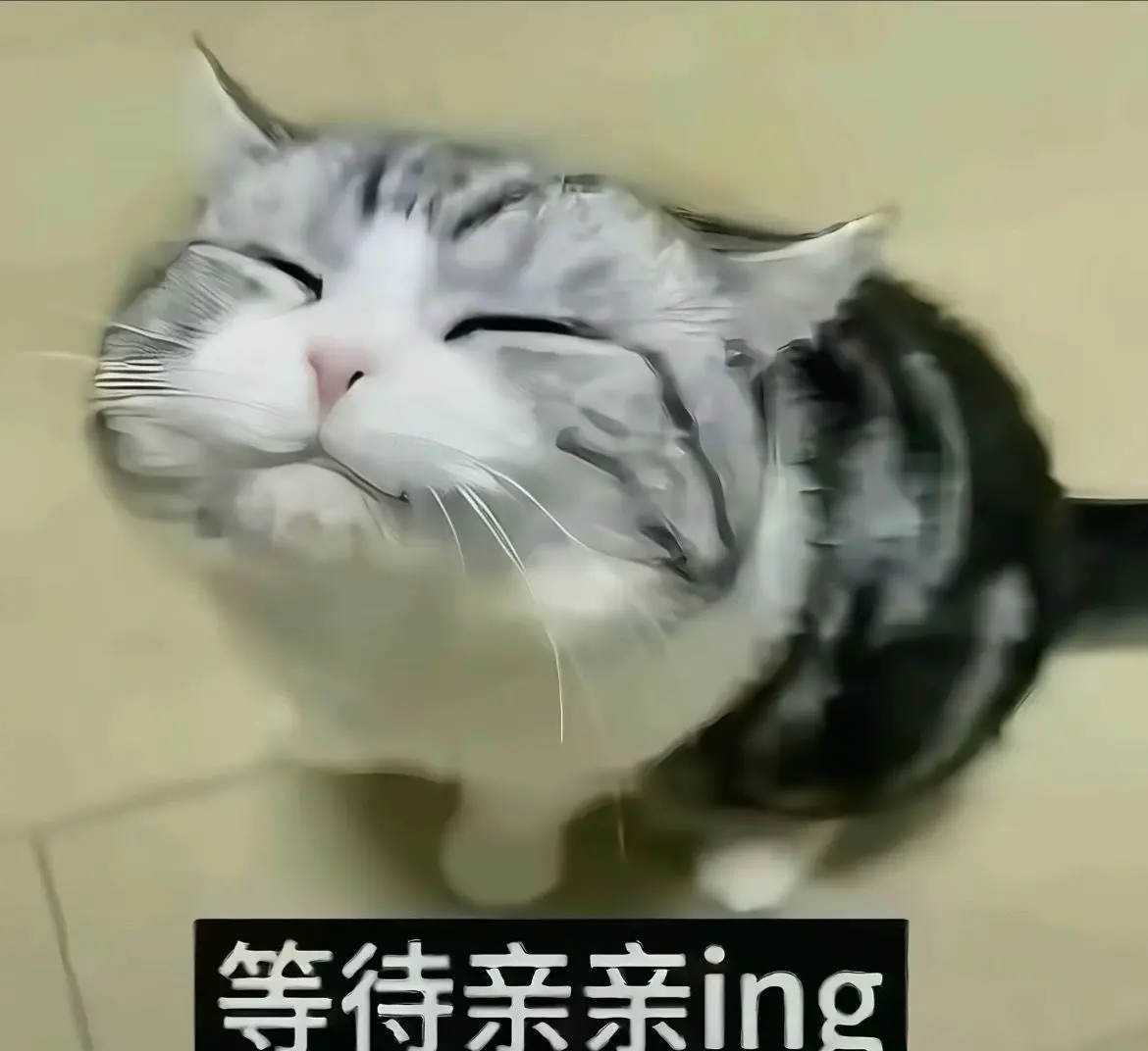 等待亲亲ing