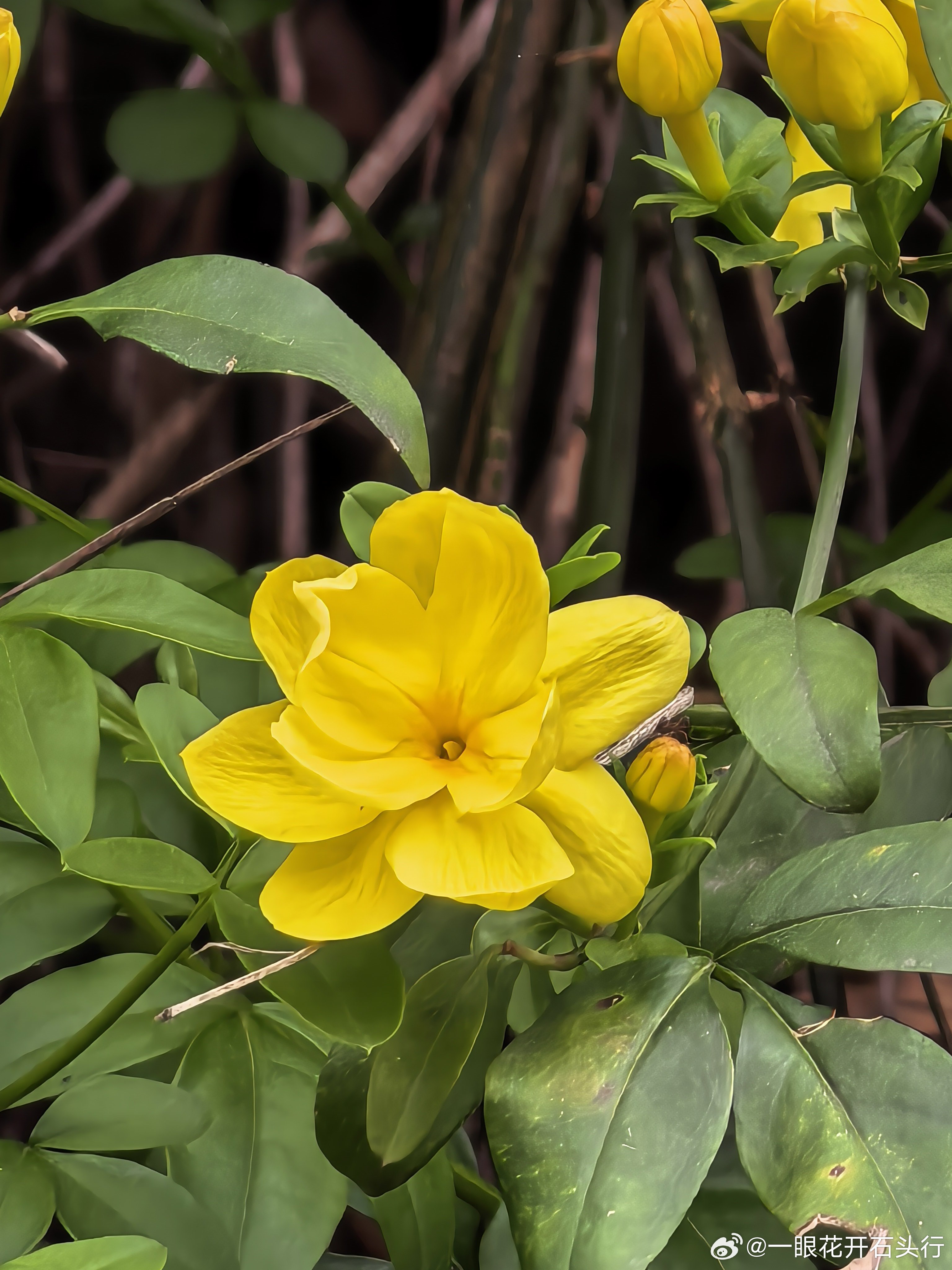 危机 危机危中有机向内求凡事发生皆有利于我 