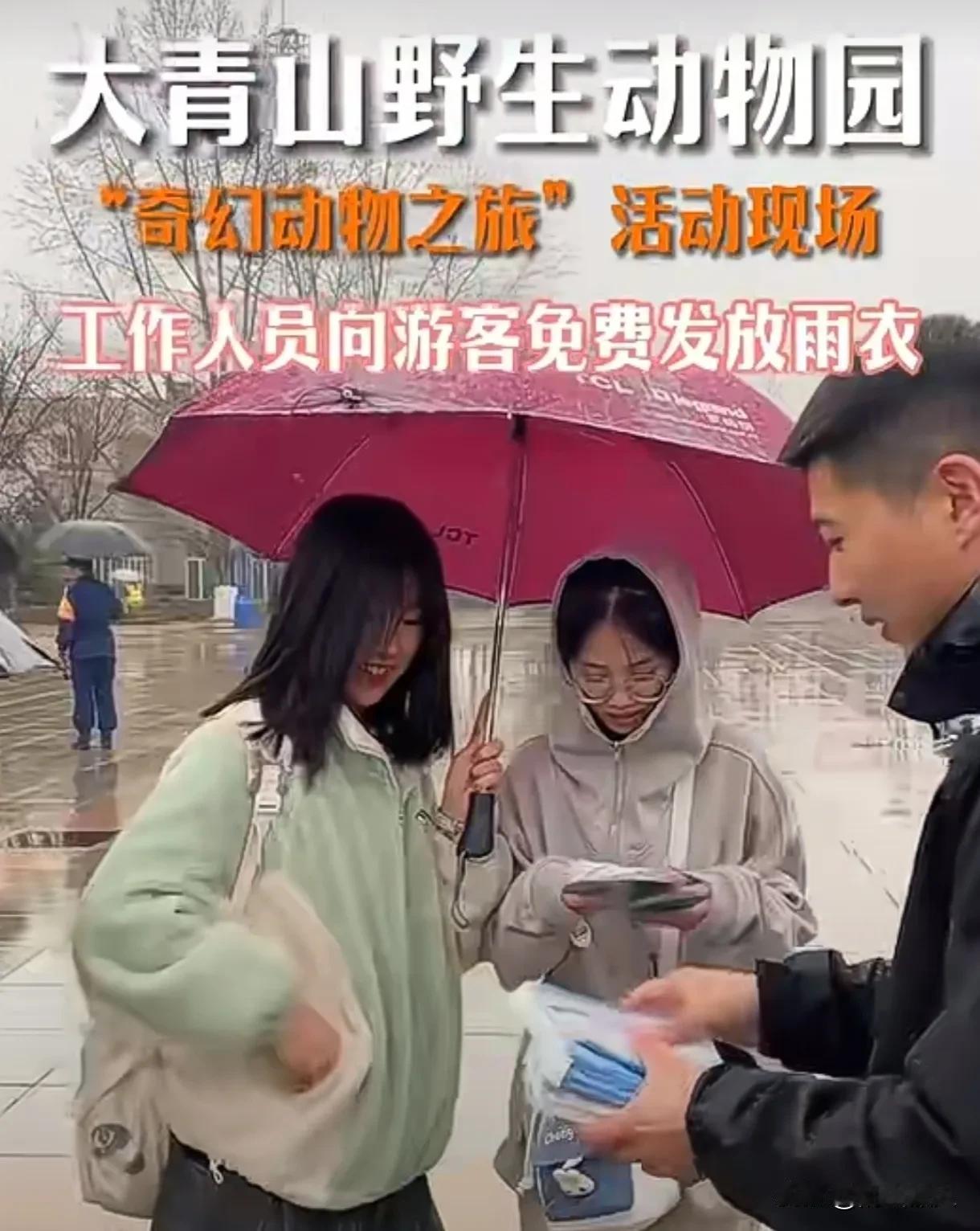 【有一种温暖在呼市持续传递！】大青山野生动物举行主题日“迷幻动物节”第二天，也就