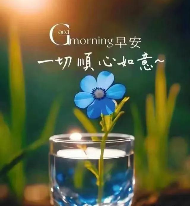 深秋清晨的問候，
心靈彼此的相約，
互相祝福都平安、
幸福、快樂健康。
早上好！