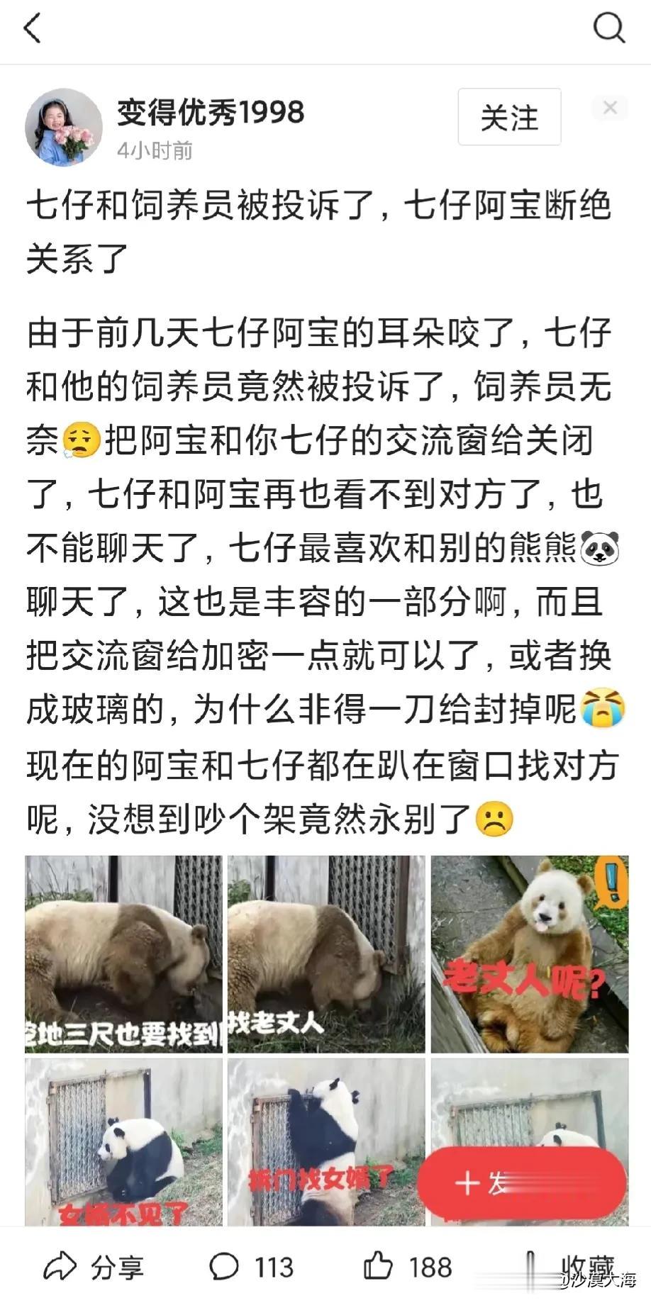 据说陕西大熊猫七仔的饲养员被网友投诉了，因为七仔把阿宝耳朵差点咬掉，动物园的解决