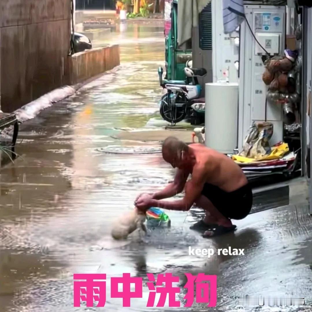 一只小狗站在雨中，

一位大爷正在给小狗洗澡。

大爷不停地在小狗身上揉搓着，
