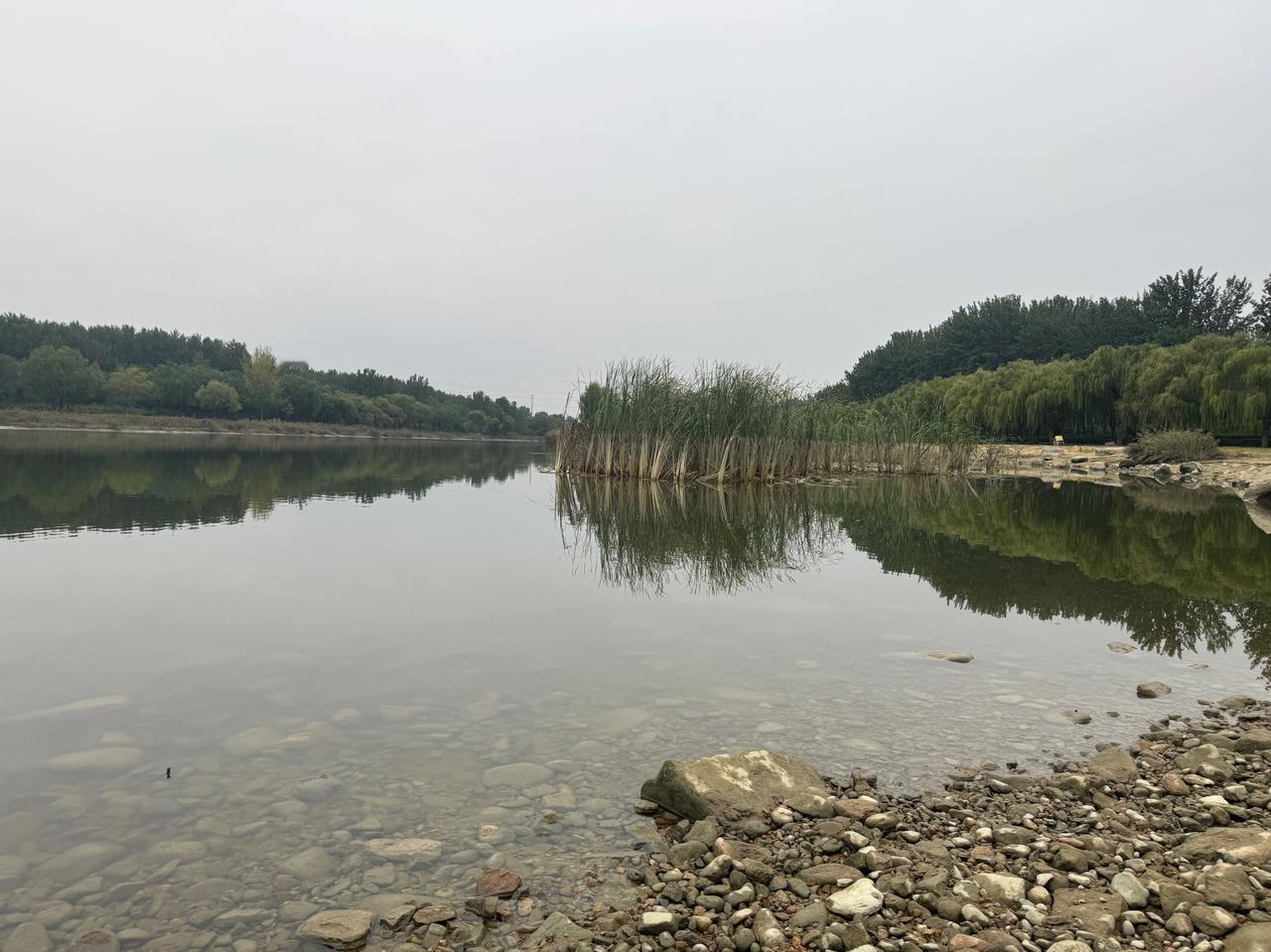 新的一年，最好的生活状态：简单、干净、安稳

年过完了，日子又回到平常。
其实最