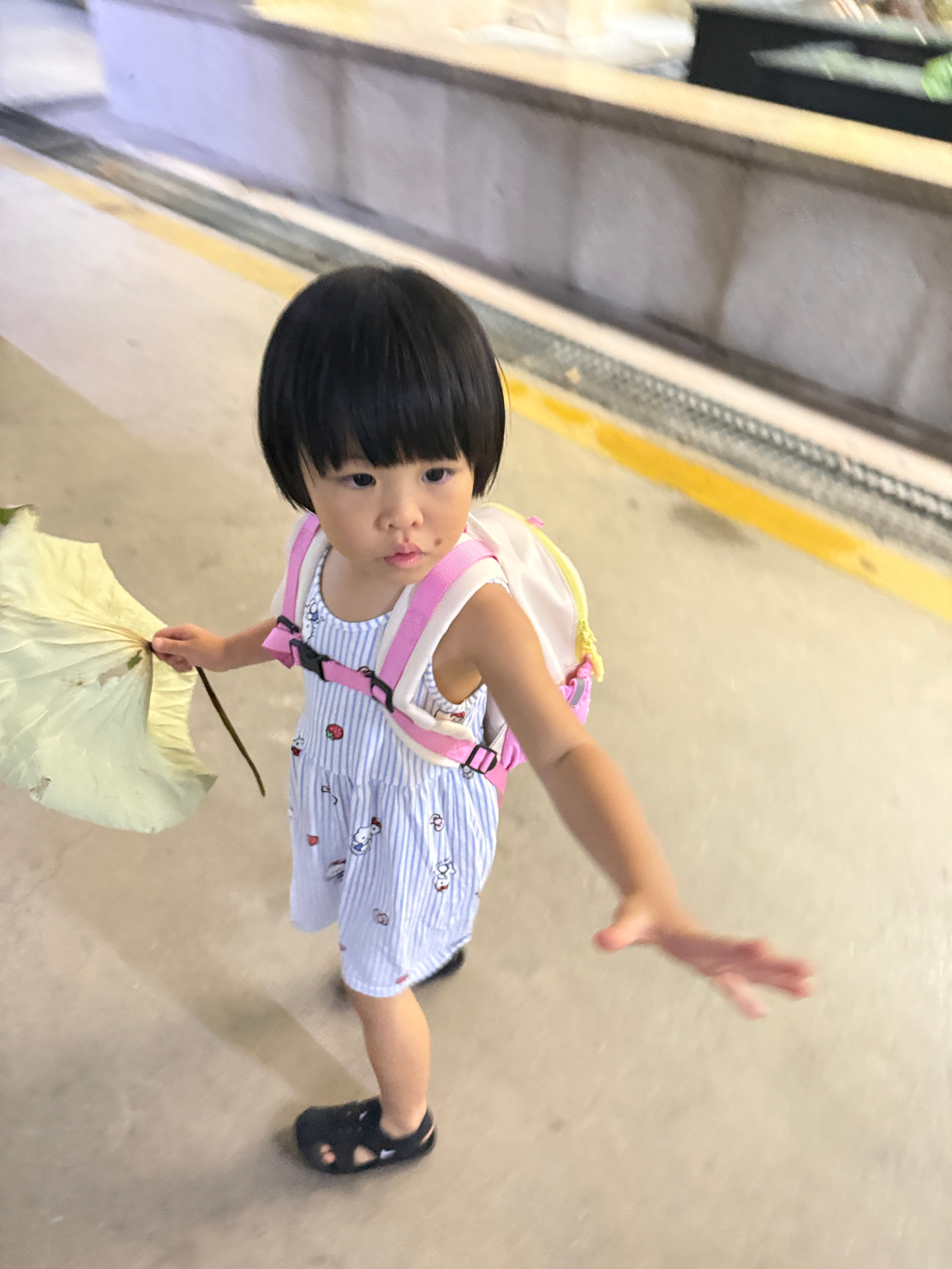 出门了，本来想去武夷山，经过一系列的商讨改为家附近的亲子酒店开了几百米我问驱蚊拿
