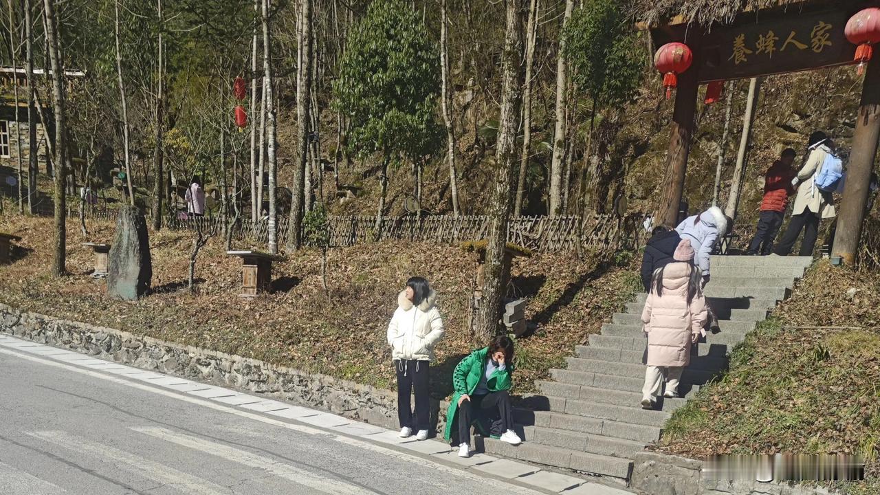 古话说，七九、八九杨树发柳，又到了一夜春风绿的时候，欢迎友友们添墨增彩对下联。本