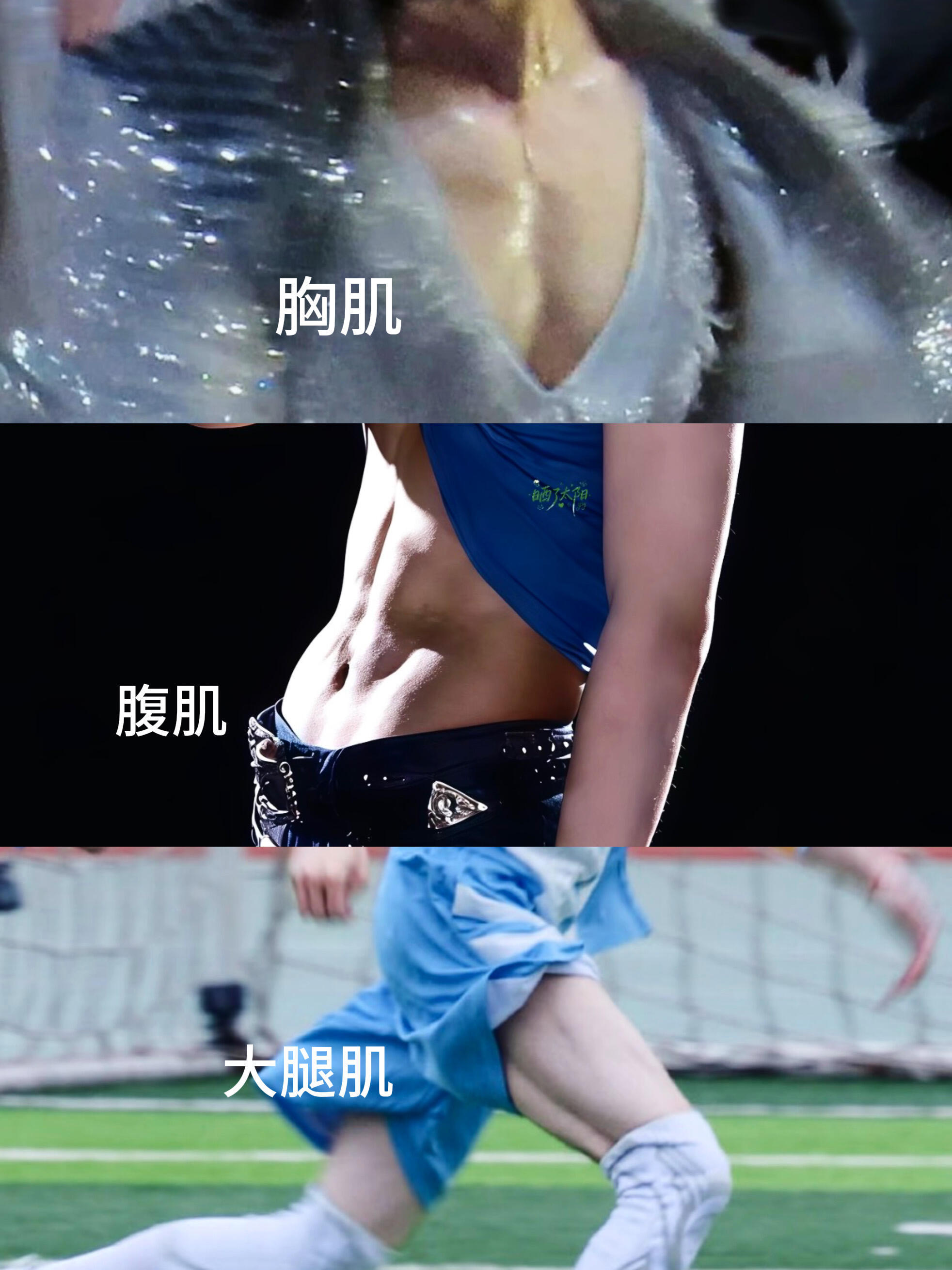 胸肌腹肌大腿肌 张真源
